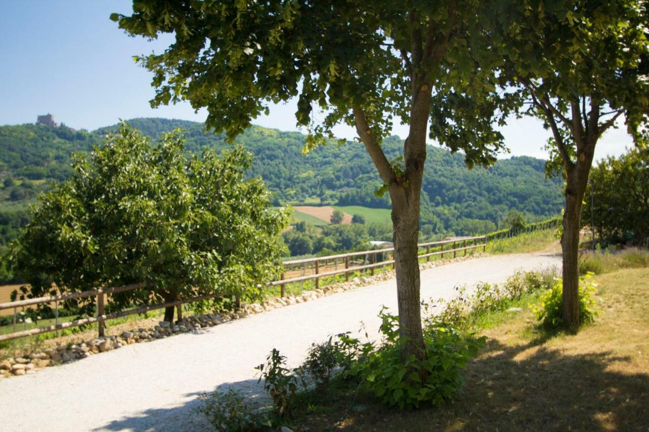 فيلا Il Vecchio Gelso - Agriturismo Rimini Montefiore Conca المظهر الخارجي الصورة