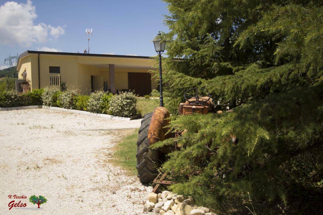 فيلا Il Vecchio Gelso - Agriturismo Rimini Montefiore Conca المظهر الخارجي الصورة