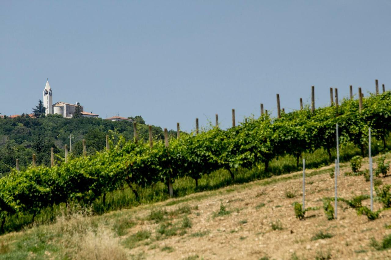 فيلا Il Vecchio Gelso - Agriturismo Rimini Montefiore Conca المظهر الخارجي الصورة